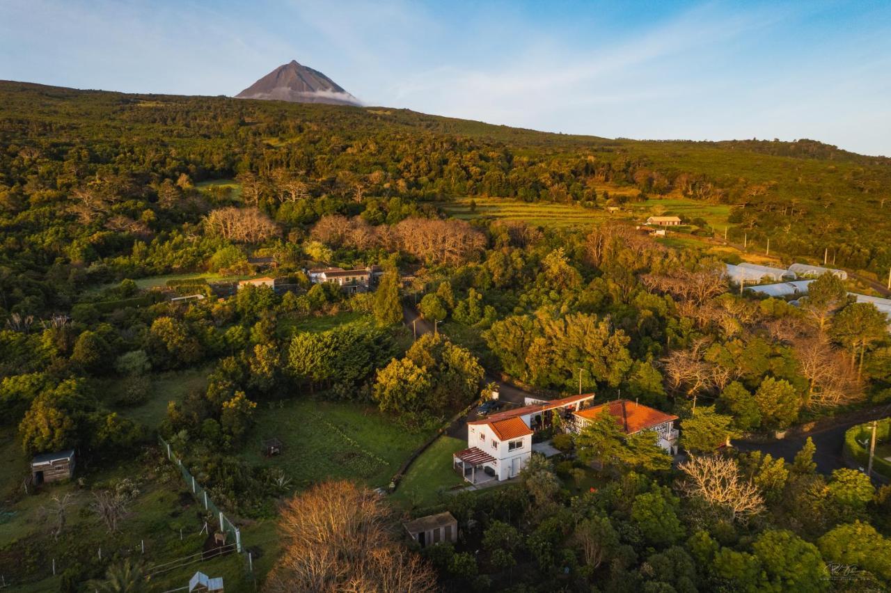 Quinta Almas