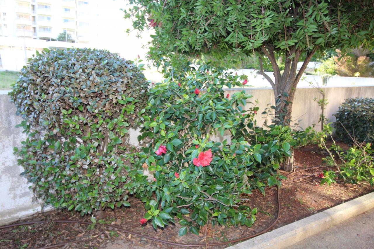 T1 Da Rocha Clube Mar Apartment
