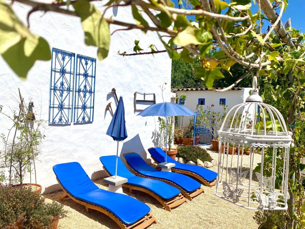 Casa Da Aldeia Holiday home Santa Barbara de Nexe