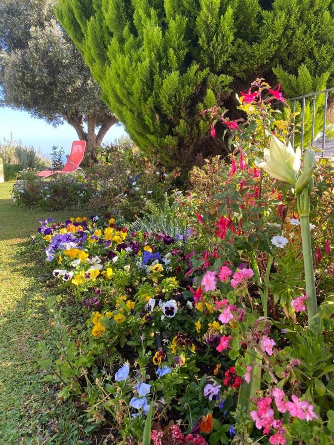 Holiday home Casa De Prazeres