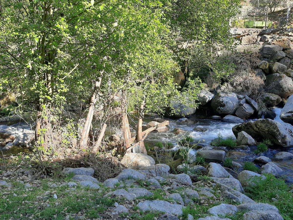 Quinta Dos Carvalhos The Wine House Farm In Center Of - Capital Of The Douro Farm stay *