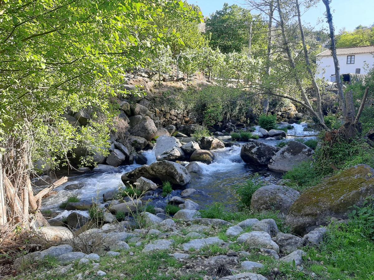 Agroturismo Quinta Dos Carvalhos The Wine House Farm In Center Of - Capital Of The Douro Lamego