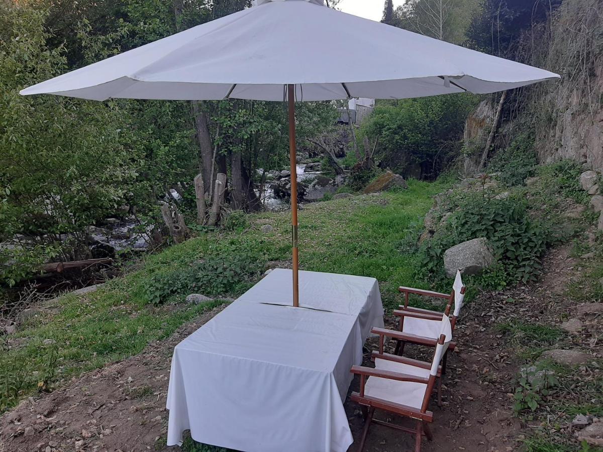 Farm stay Quinta Dos Carvalhos The Wine House Farm In Center Of - Capital Of The Douro