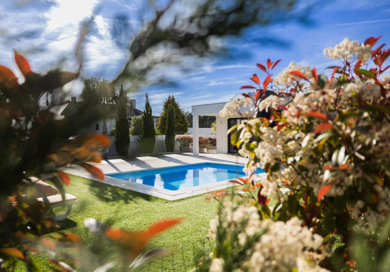 Meirinha House Chalet *