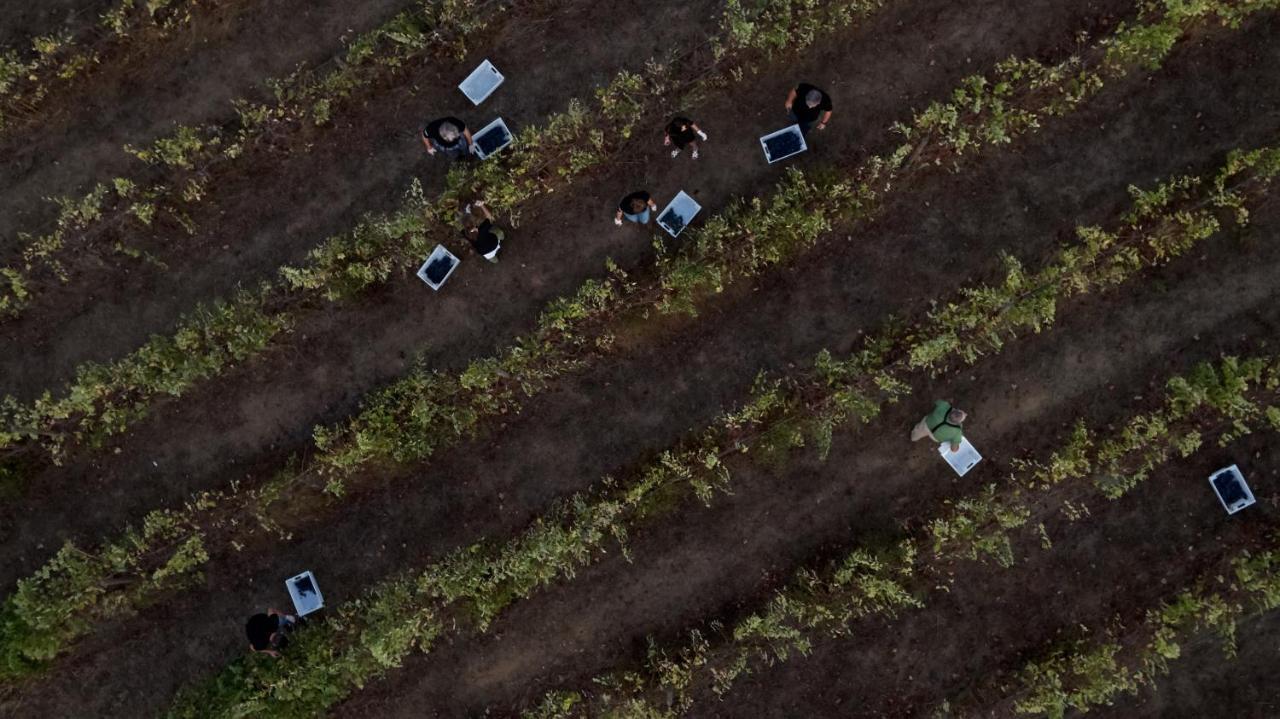 L'and Vineyards - Relais & Chateaux Hotel Montemor-o-Novo