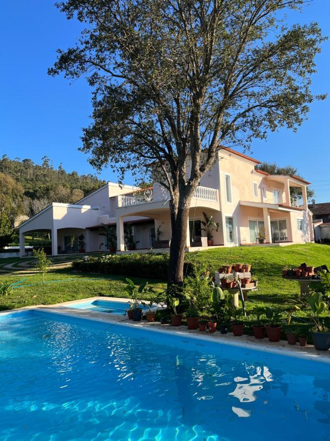 Accommodatie bij particulieren Casa Do Cuco Esposende