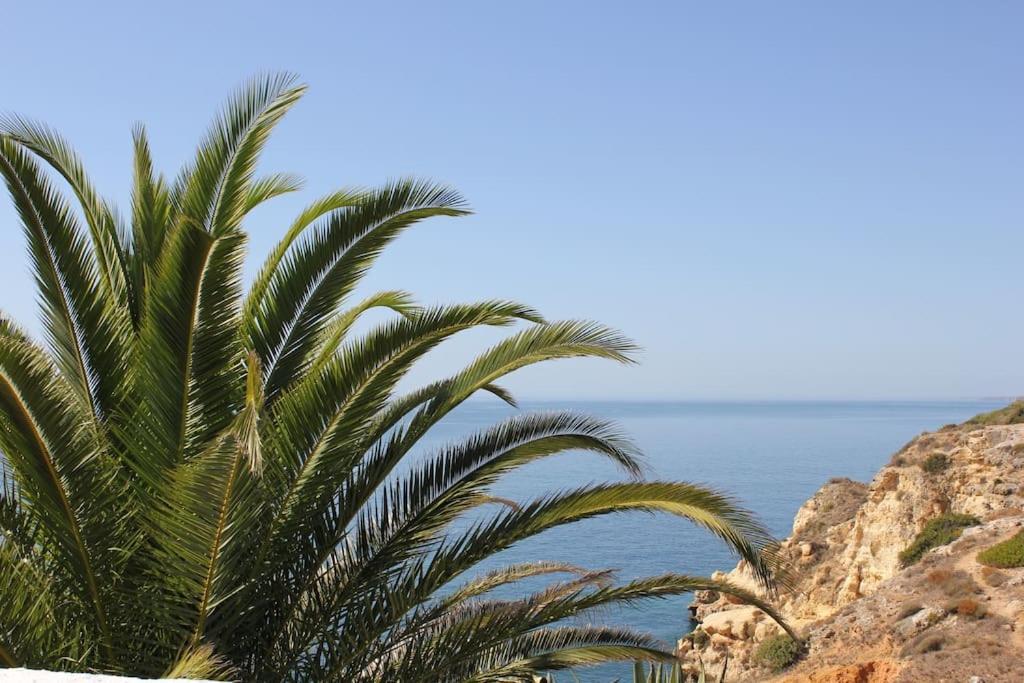 Carpe Diem Villa