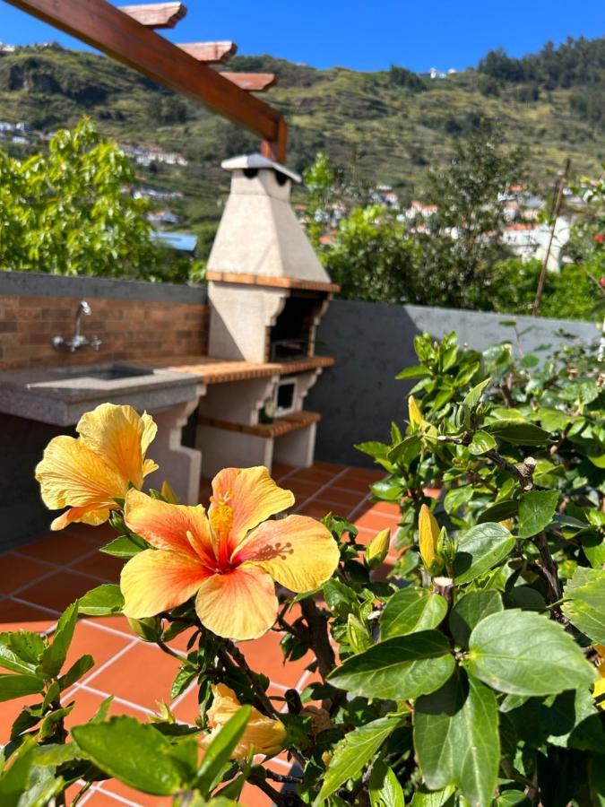 Holiday home Tropical Garden Arco da Calheta (Madeira)