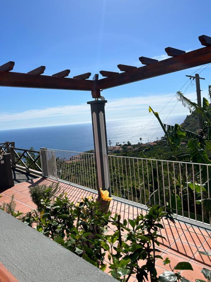 Tropical Garden * Arco da Calheta (Madeira)