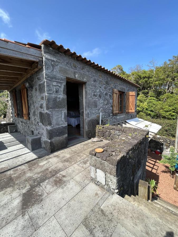 Pico Formoso Vinea Lava Alojamentos Pico