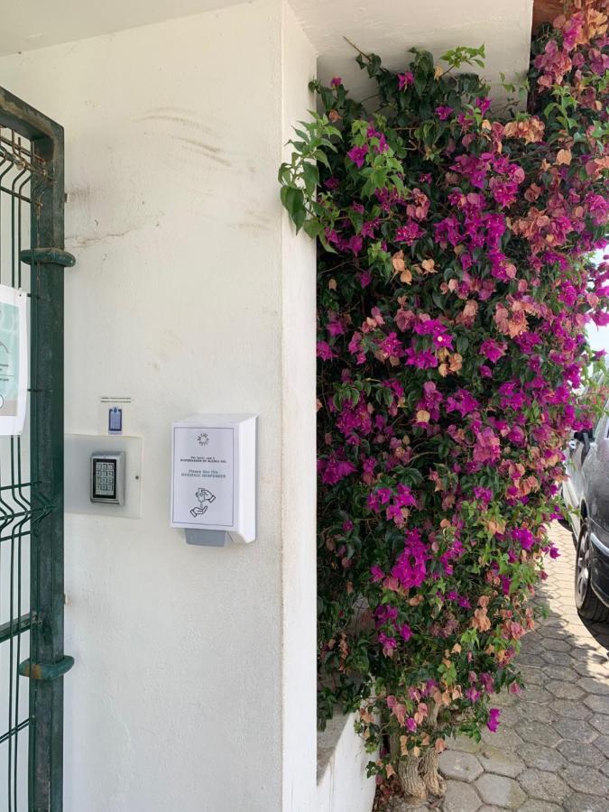Linda Vista Mar T1, A-c, Wi-fi, Porches Apartment Porches (Algarve)