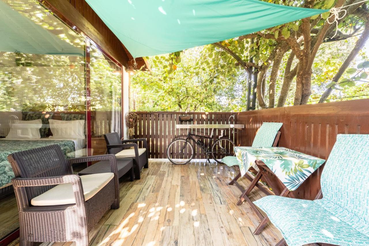 Casas Casal Do Carvalhal - Country house