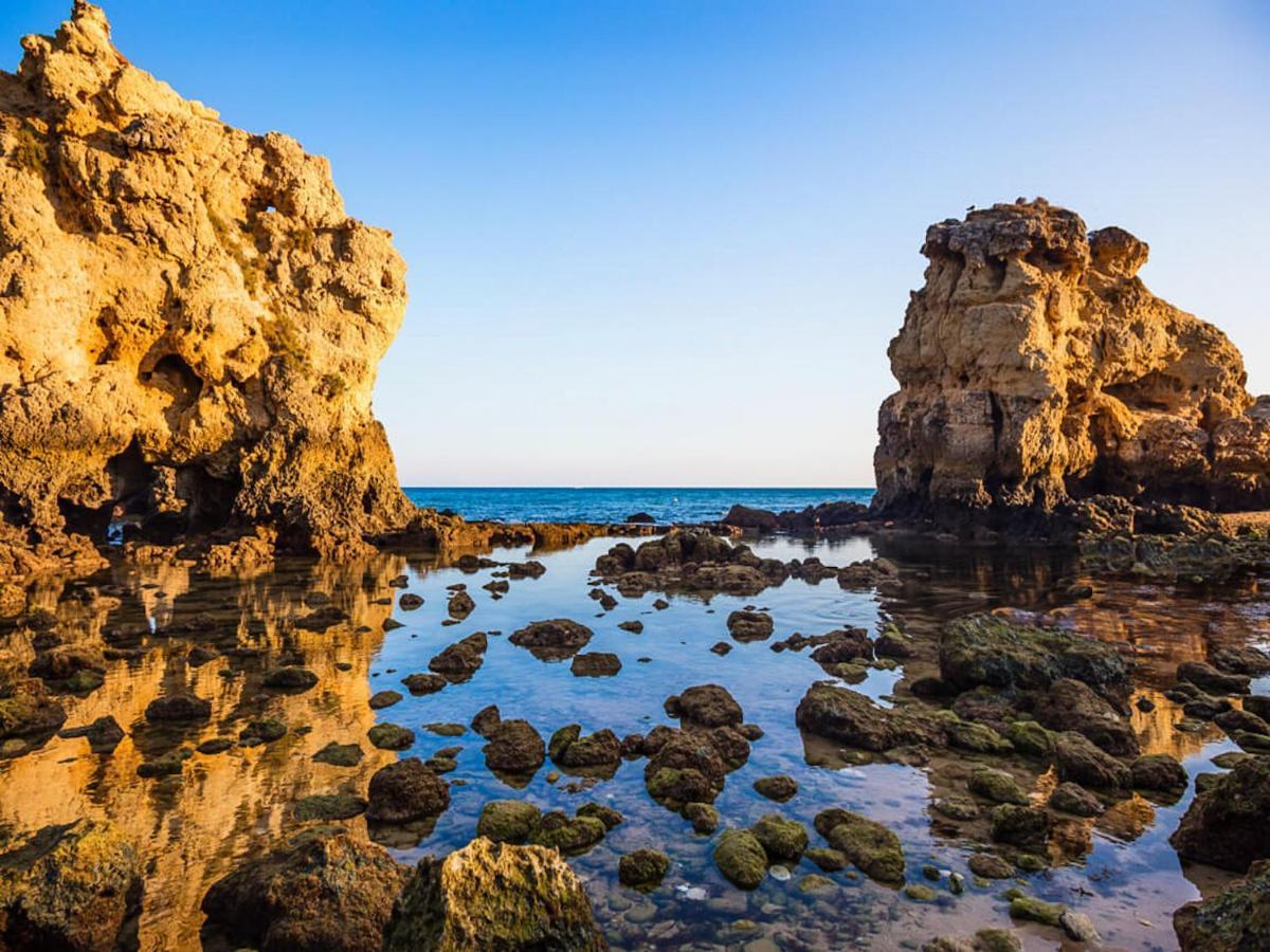 Apartment Luxury Penthouse Wstunning Sea Views, Walk To Gale Albufeira