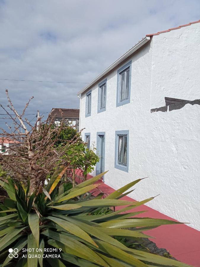 Lobo Do Mar