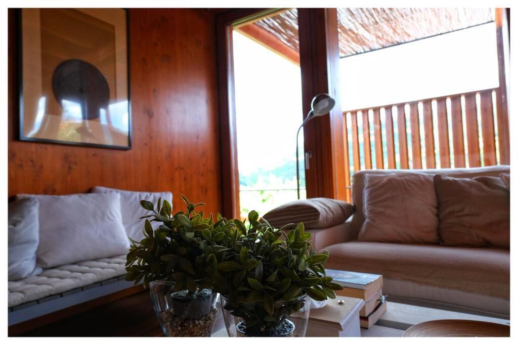 Geres! Canicada House! Villa Gerês