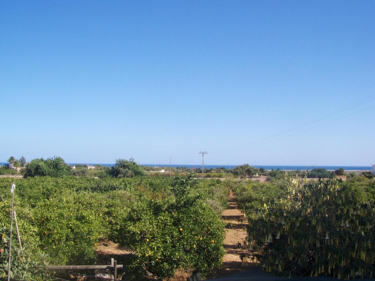 Casa Tipica No Campo Luz de Tavira