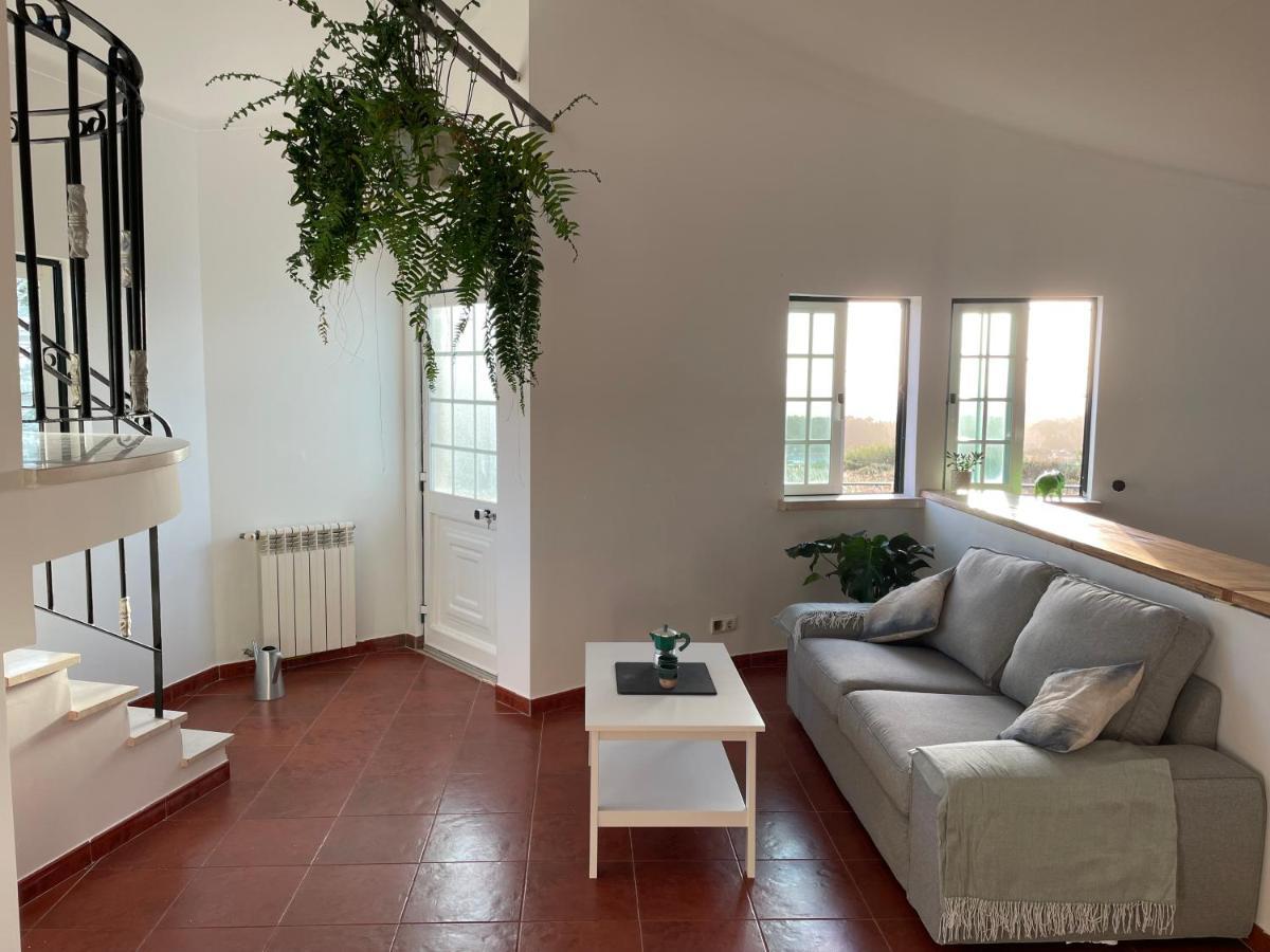 Apartment No Ceu - A Fully Private Flat In The Sky With Ocean View *