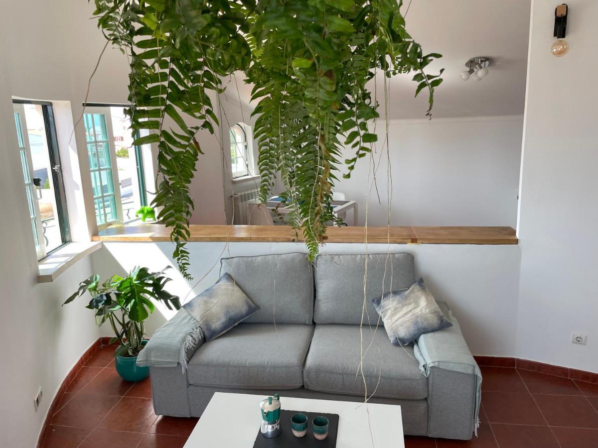 No Ceu - A Fully Private Flat In The Sky With Ocean View Apartment