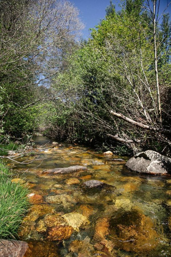 Country house Maria Da Vinha -