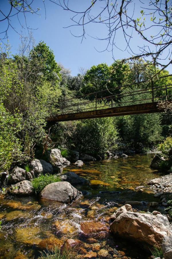 Country house Maria Da Vinha - *