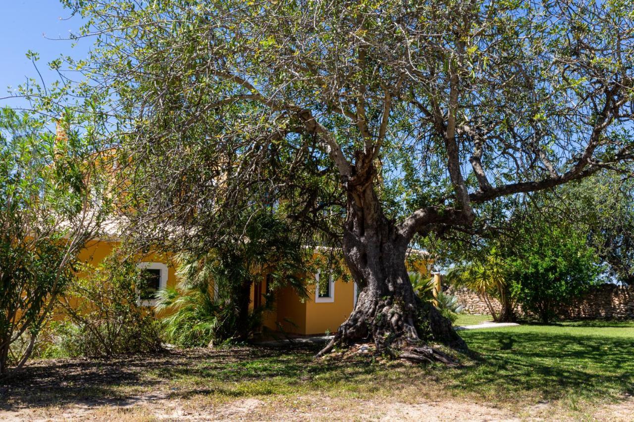 Limao Villa
