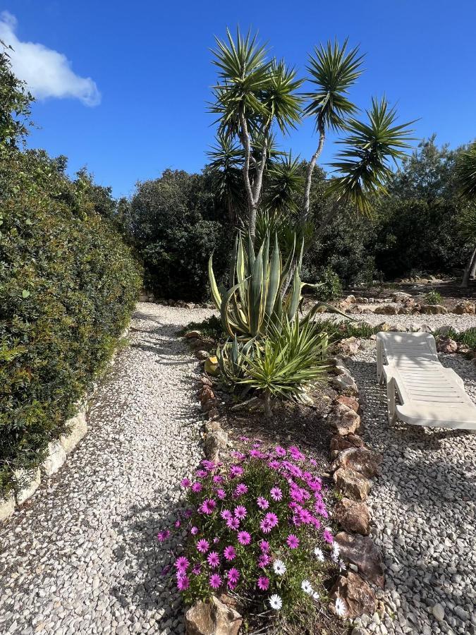 233 Casa Galo * Porches (Algarve)