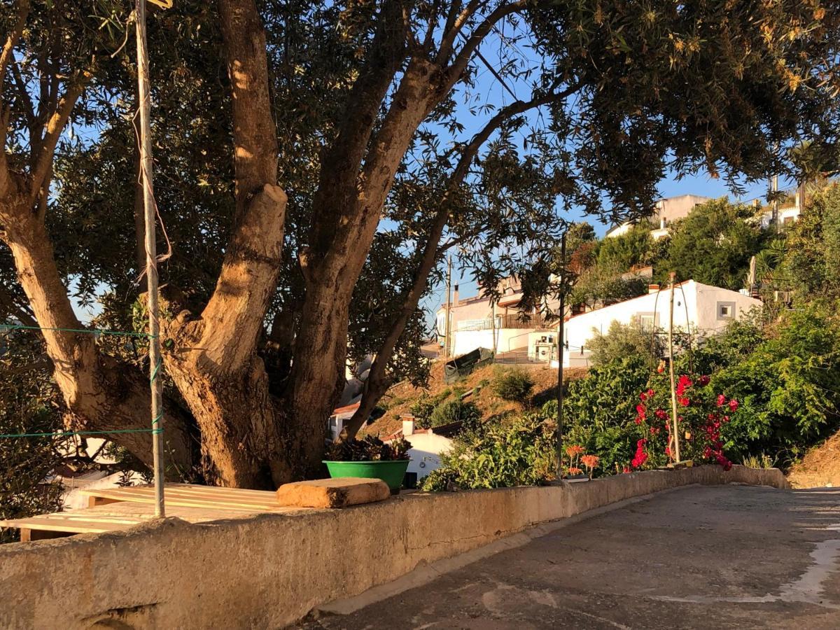 Casa Anneli - Relaxing Under The Olive Tree Aljezur