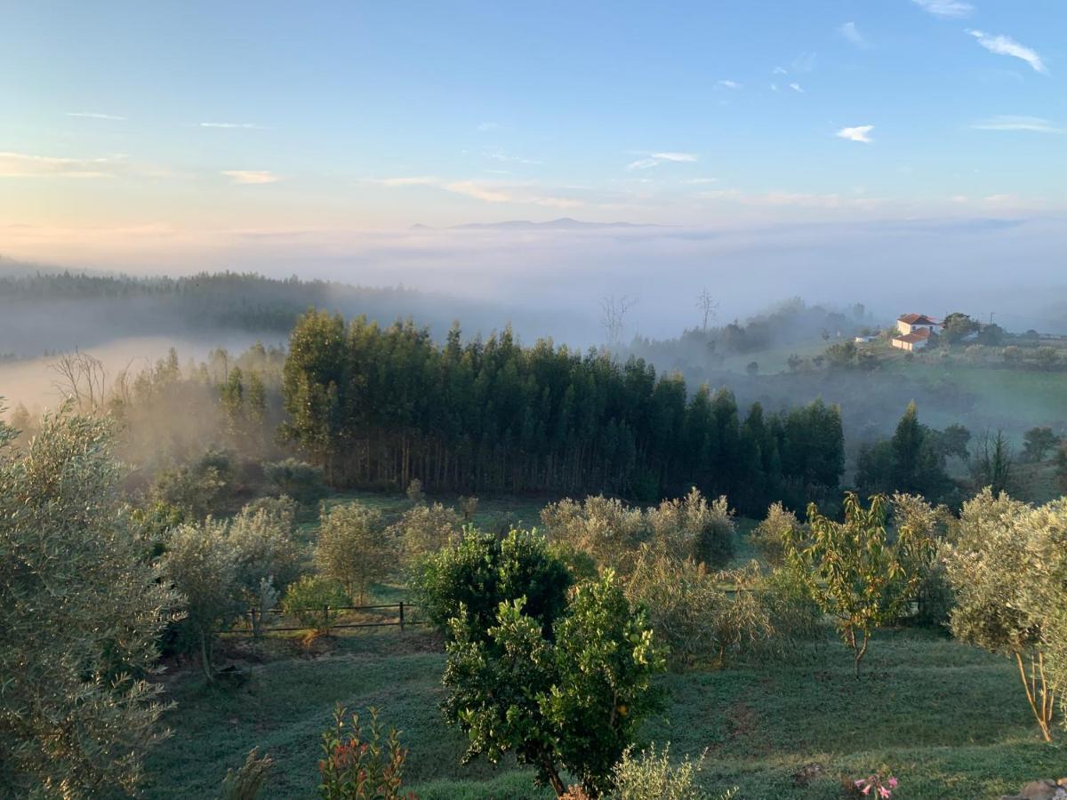 Guest house Quinta Lagares