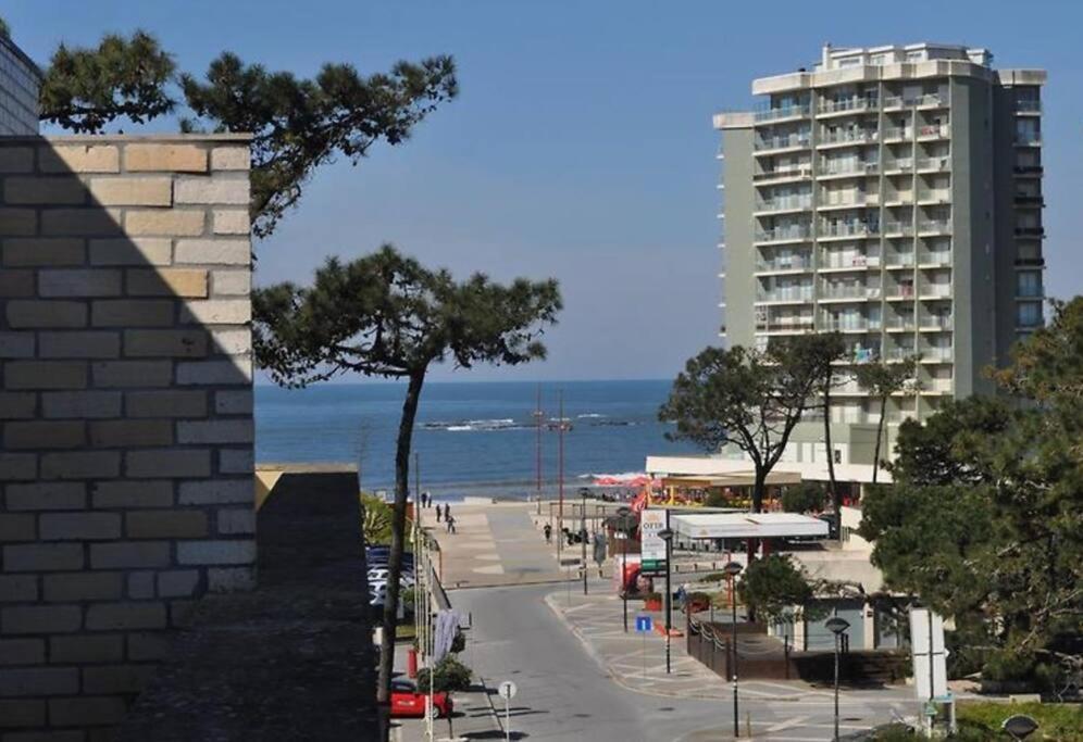Sea And Pinewood Ofir *