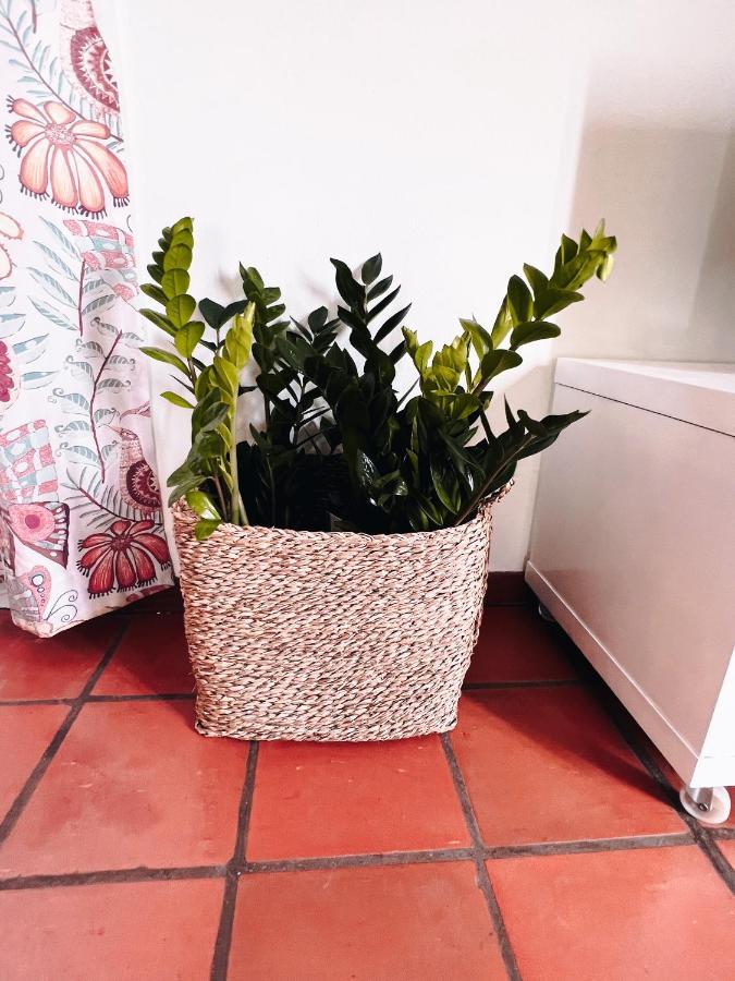 Apartahotel Quinta Mae Dos Homens Funchal (Madeira)