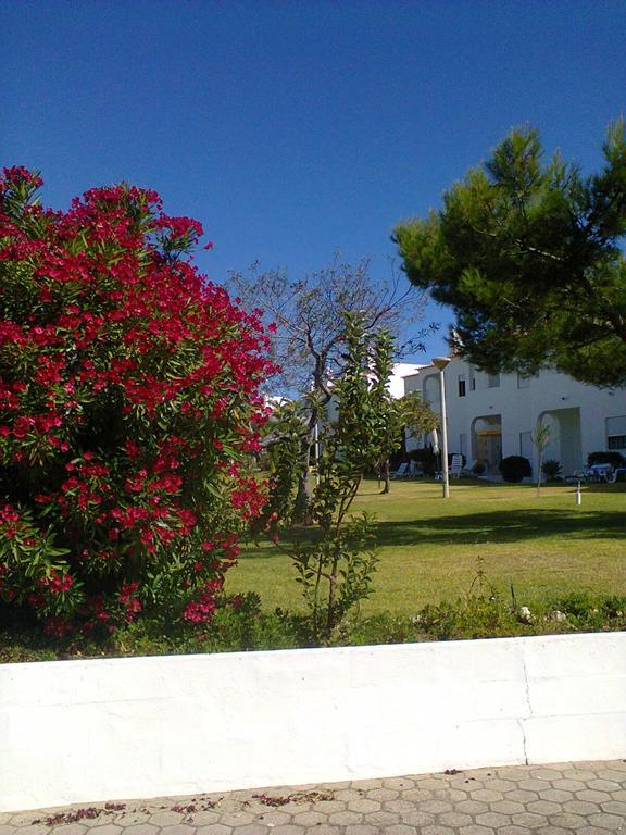 Quinta Do Torrejao Apartment
