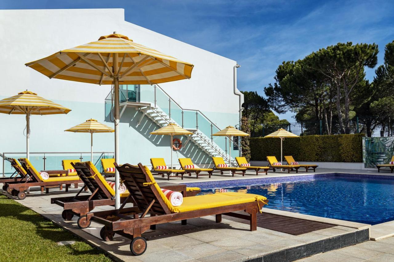 The Magnolia (adults Only)