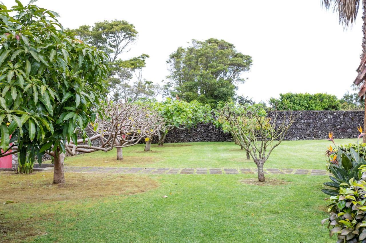 Quinta Da Paz Azores Apartment Pico da Pedra