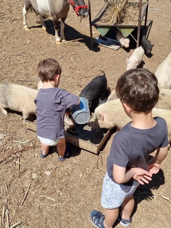 Arca Dos Animais - Farming & Country house *