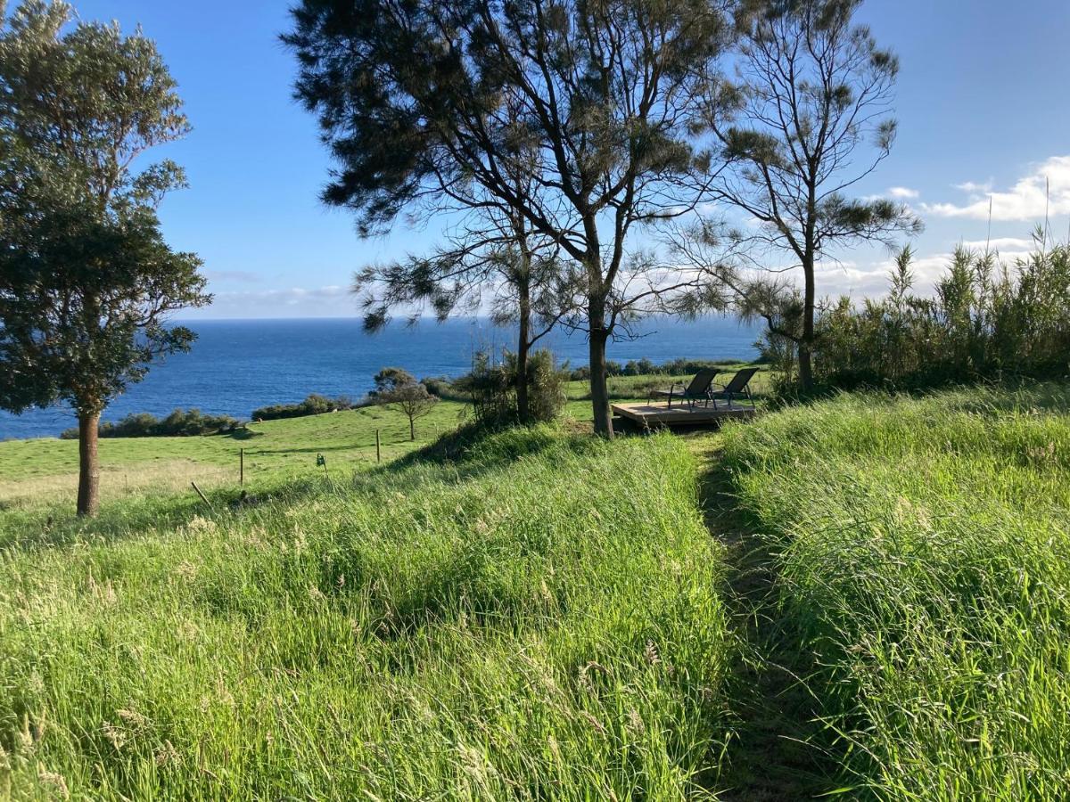 Quinta Da Meia Eira * Castelo Branco (Faial)