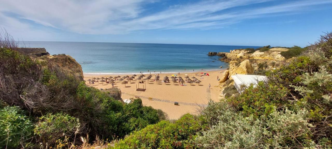 Baia Village - Do Castelo - Gale - *