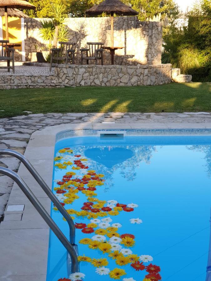 - Quinta Lagus