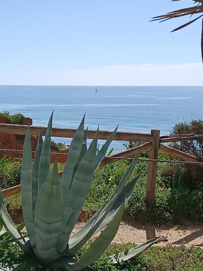 Mar A Vista Algarve Summer Apartment *