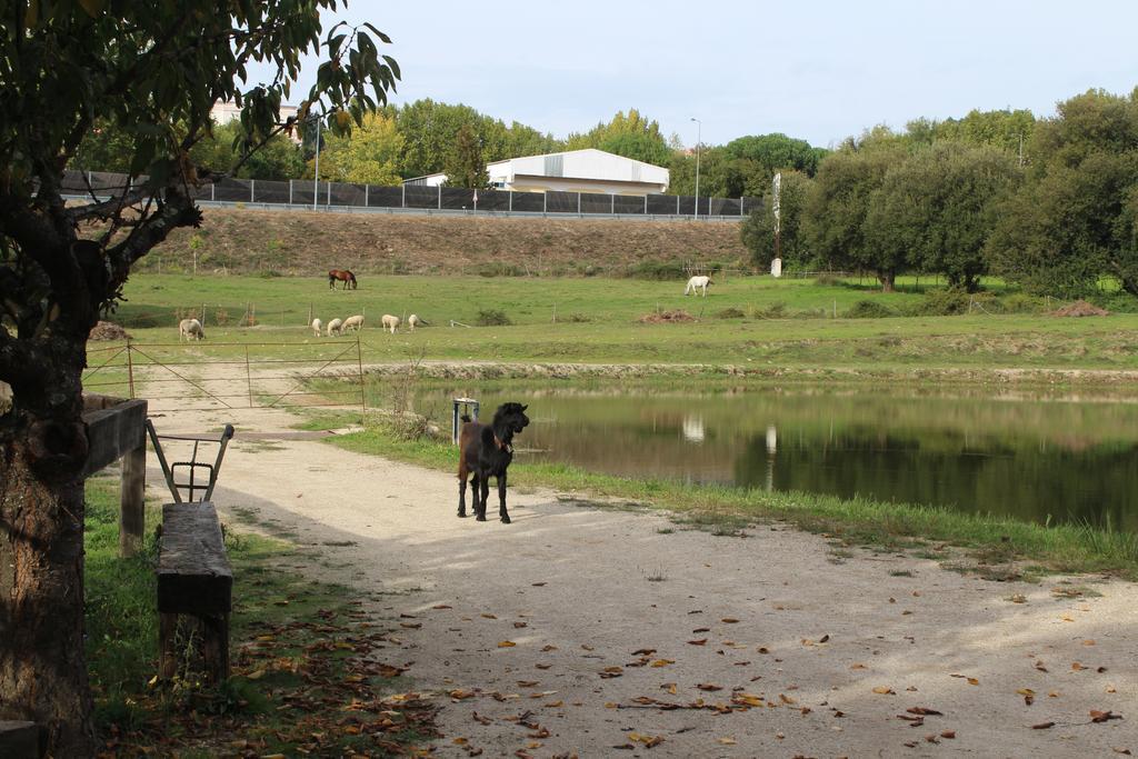 Quinta Do Crestelo 4* Seia