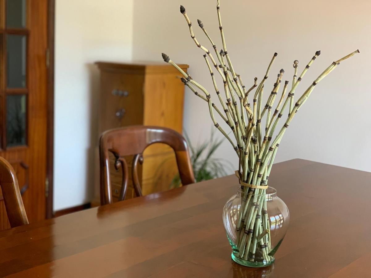 Guest house Casa Pedravedra *