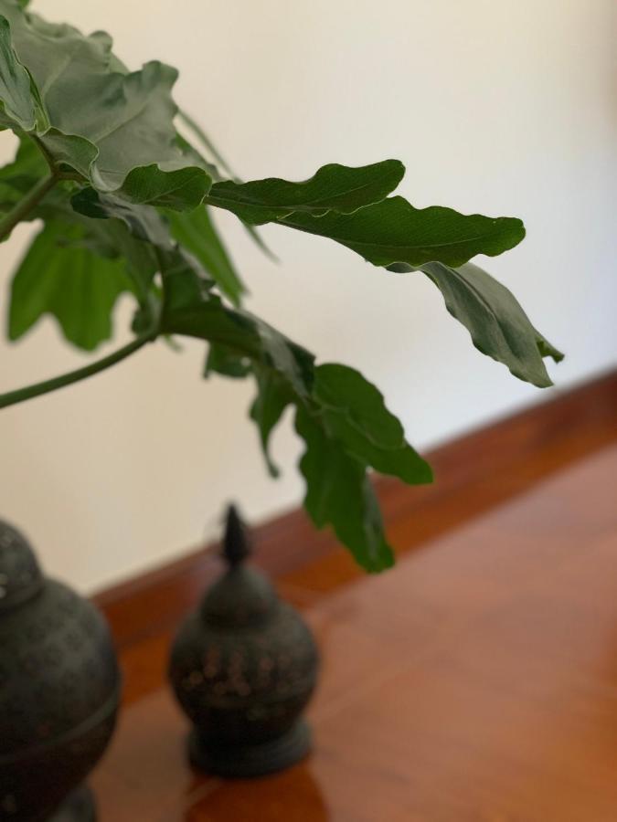 Casa Pedravedra