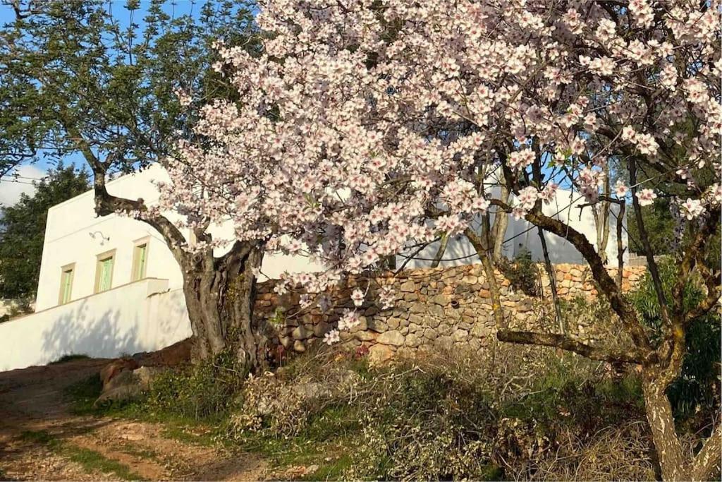 Eco-villa Monte Do Barrocalinho Villa Loule