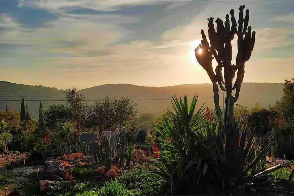Villa Eco-villa Monte Do Barrocalinho *