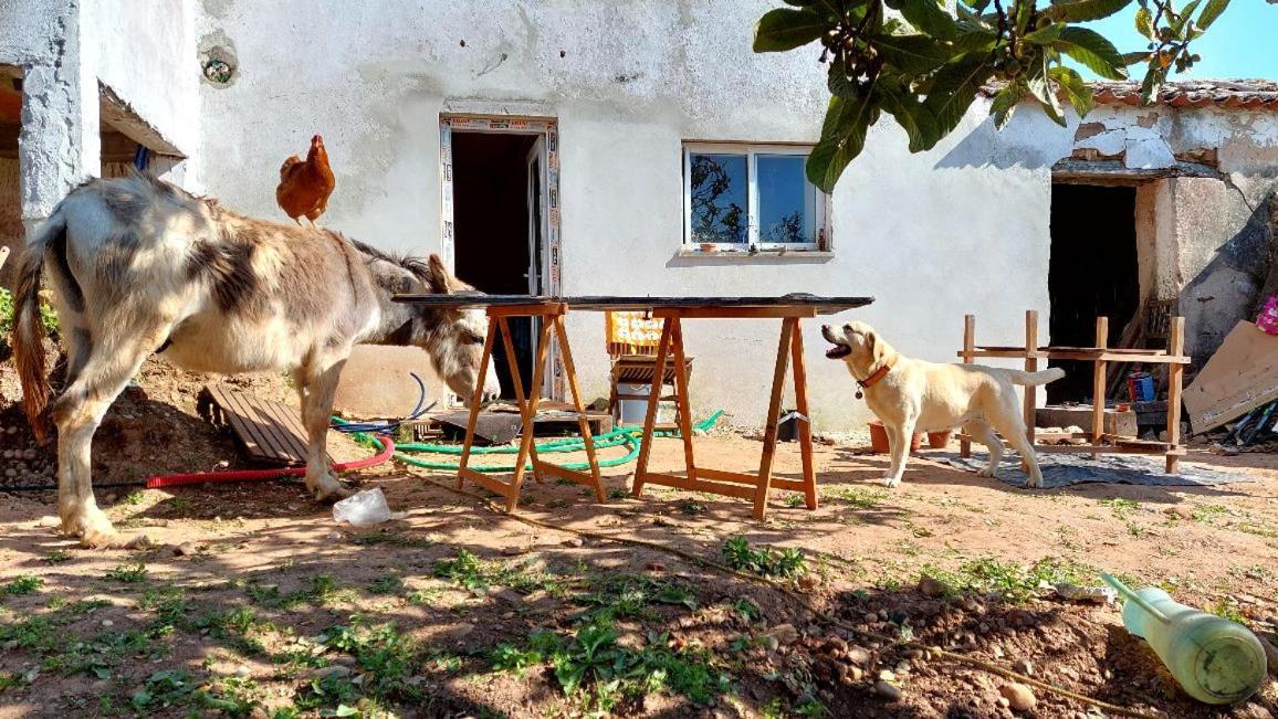 Casa Dos Artistas Holiday home Caldas Da Rainha