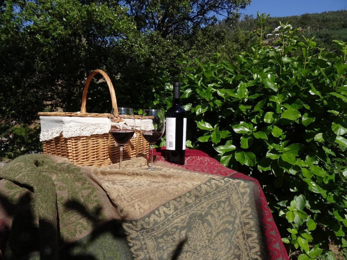 My - Vina  - Ter Country house Monchique
