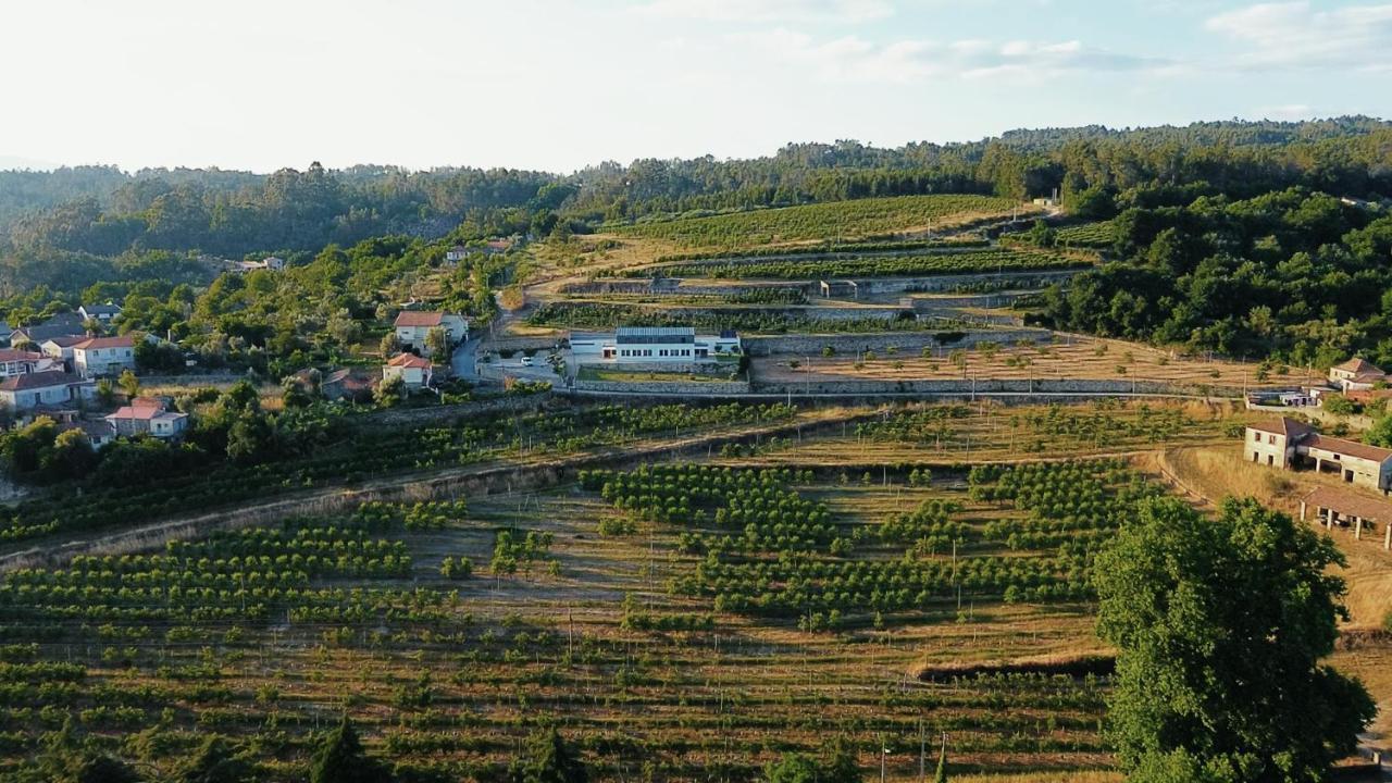 Casa Da Escola Vakantieboerderij