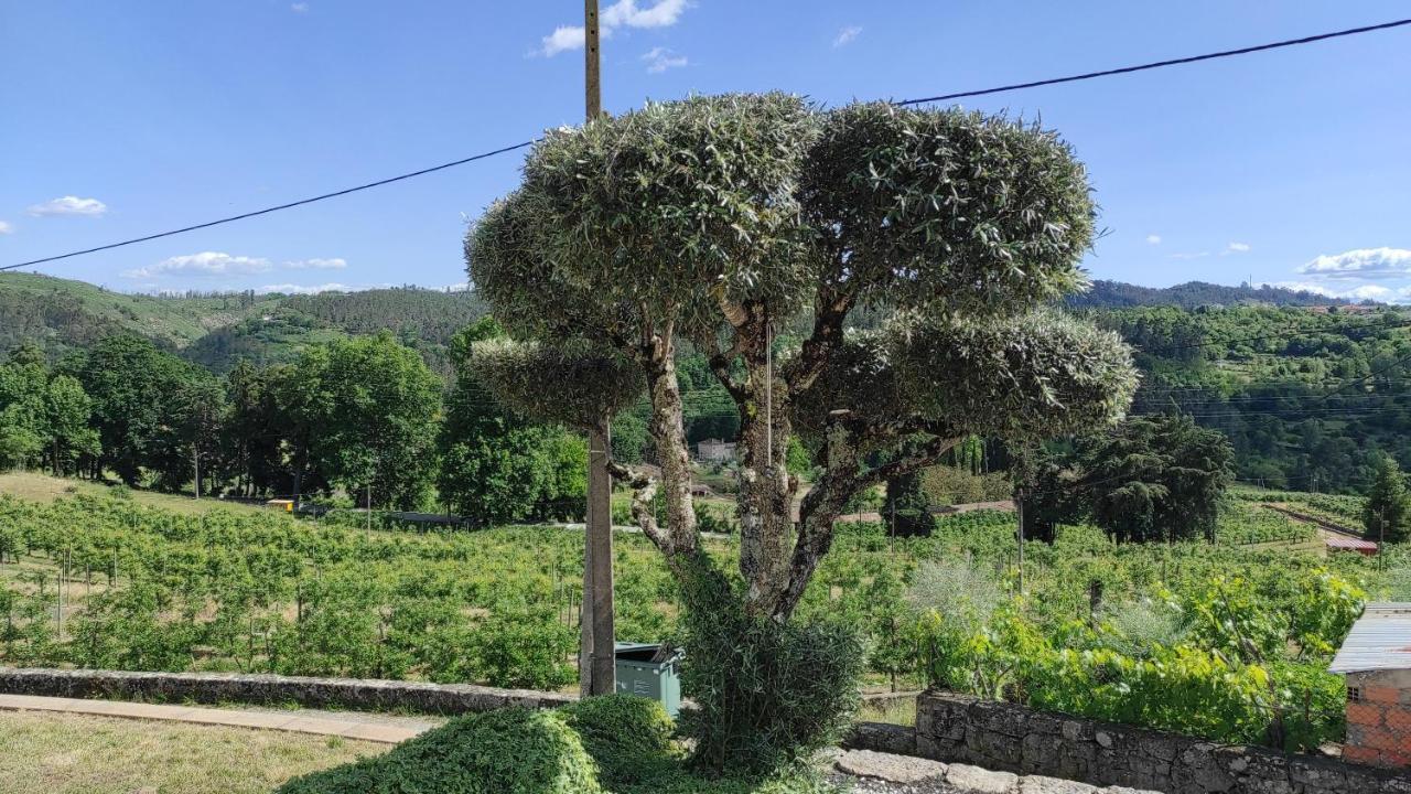Casa Da Escola Vakantieboerderij