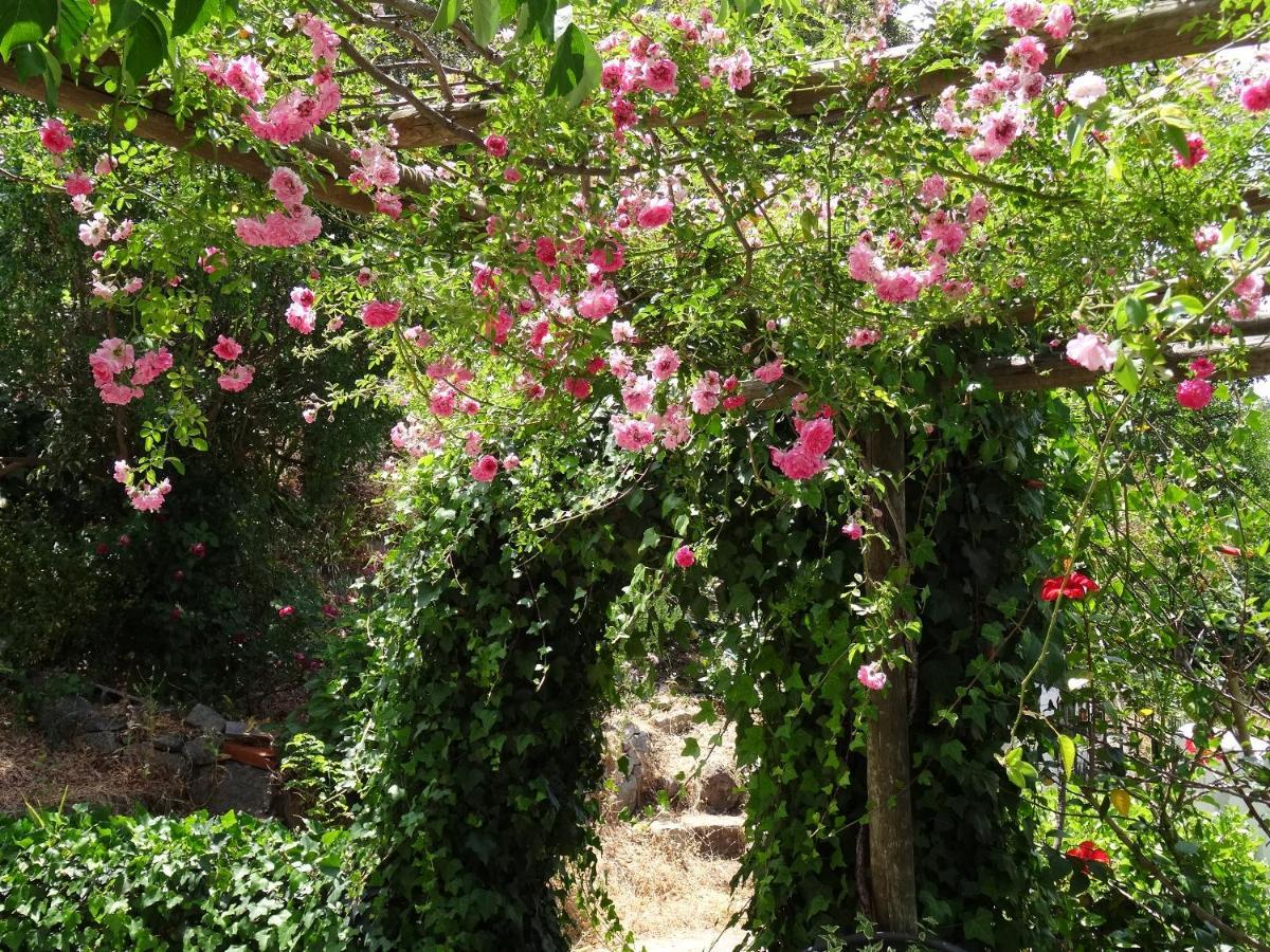 My - Vina  - Ter Country house