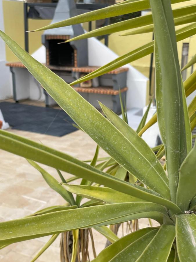 Holiday home Do Sol