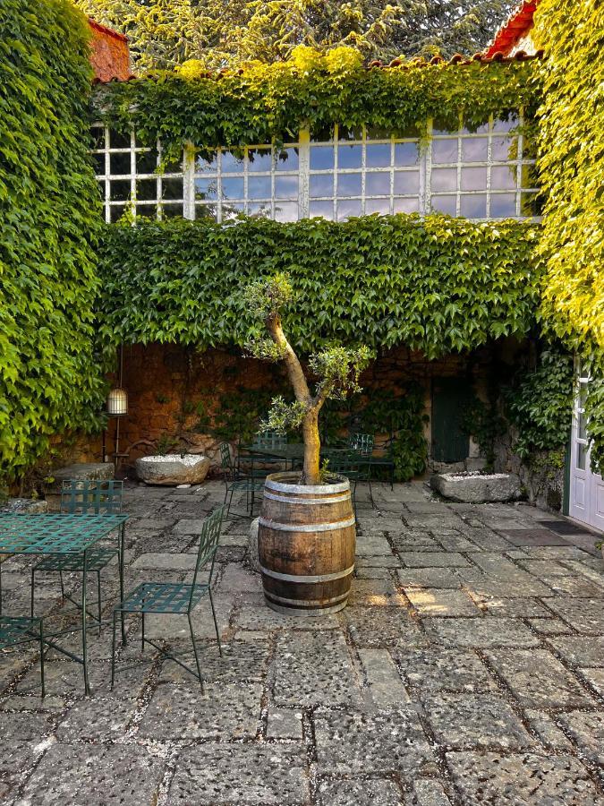 Casa Dos Barros Winery By Vintage Theory *